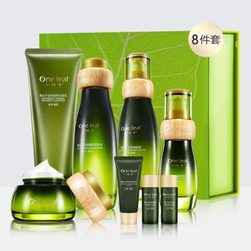 化妝品行業(yè)標(biāo)桿 加盟精妝聯(lián)華化妝品收獲更大的成功